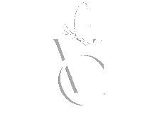 Web Designer Portfolio